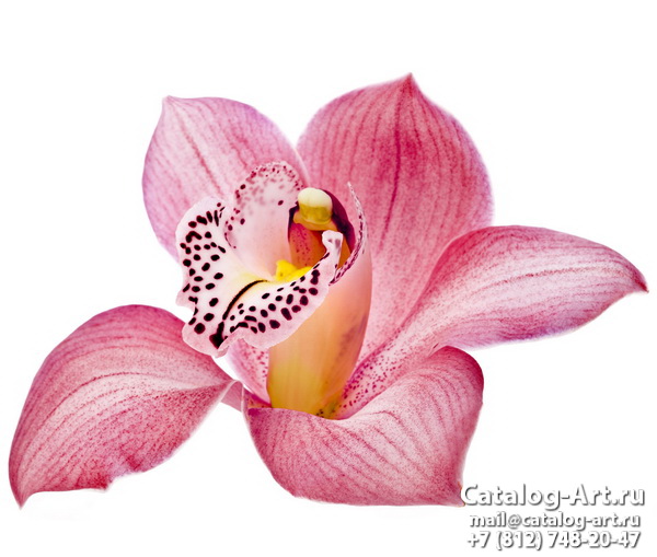 Натяжные потолки с фотопечатью - Розовые орхидеи 7